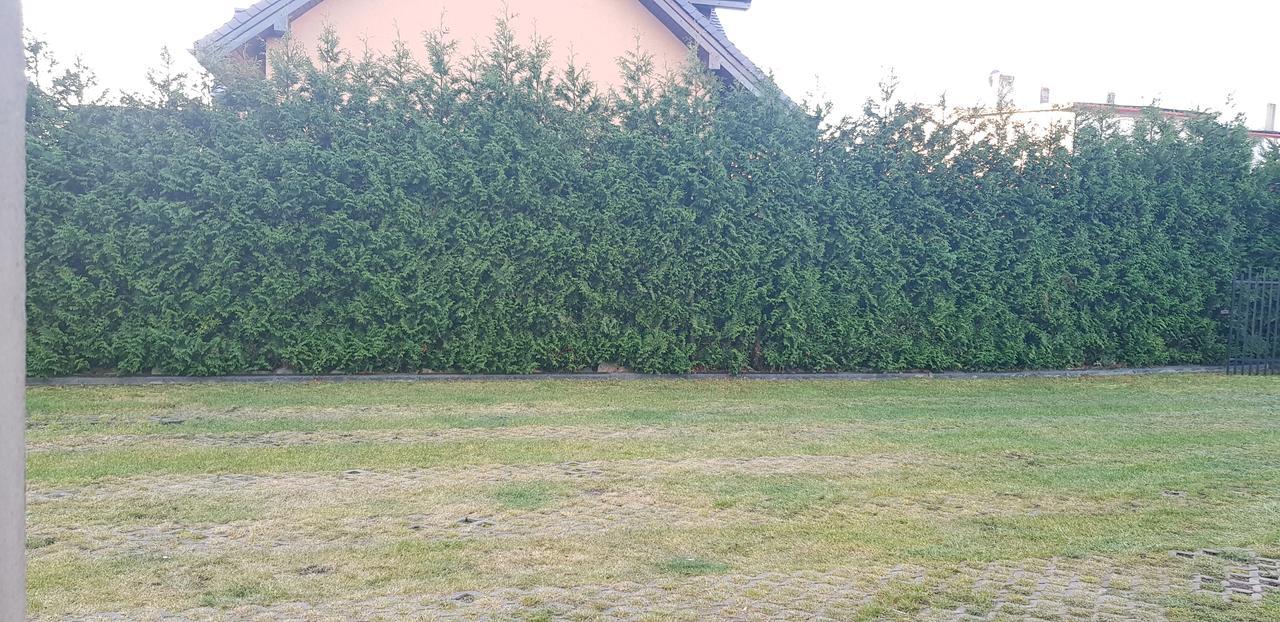 Pokoje Goscinne Pryzmat Władysławowo Exterior foto